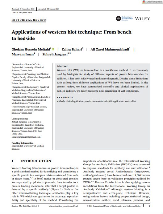 Applications of western blot technique: From bench to bedside
